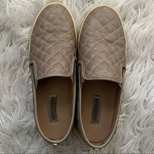 Ecentrcq Grey Sneakers by Steve Madden